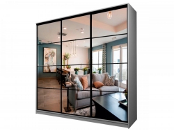 Шкаф-купе Max МШ-25-6-24/2-555